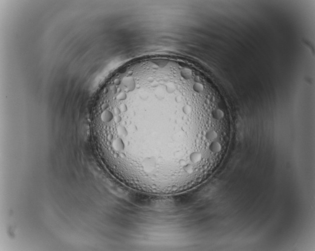 X0000103501363200809262004