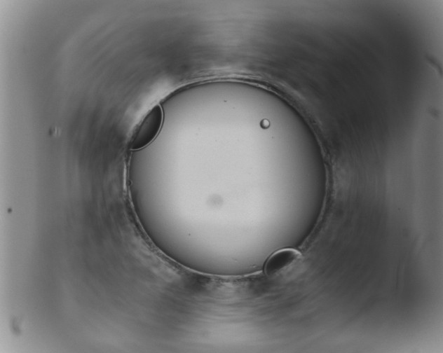 X0000103501365200809262004