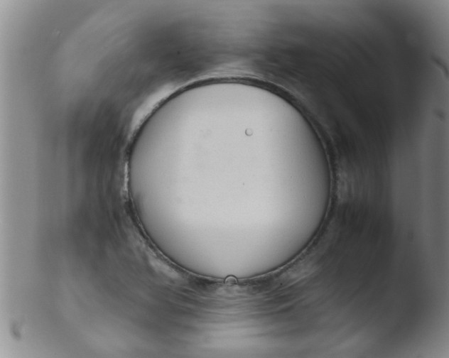 X0000103501366200809262004