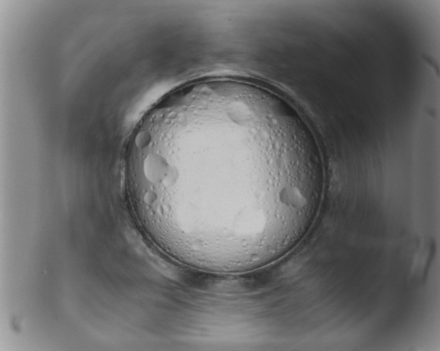 X0000103501367200809262004