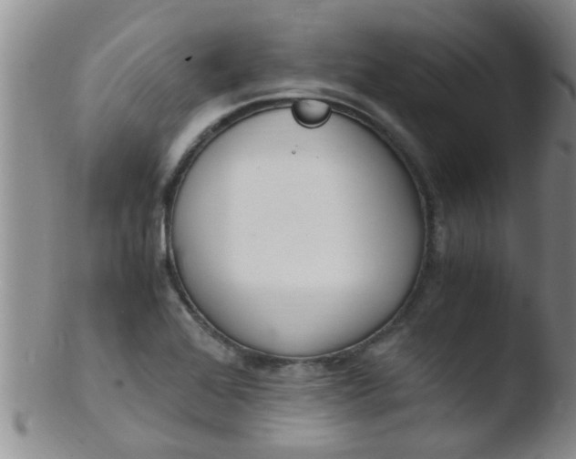 X0000103501368200809262004