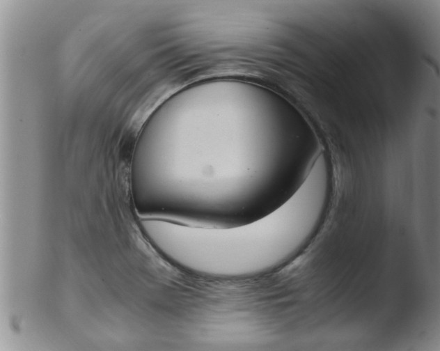 X0000103501369200809262004