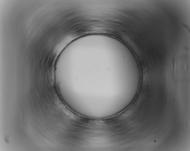 X0000103501370200809262004