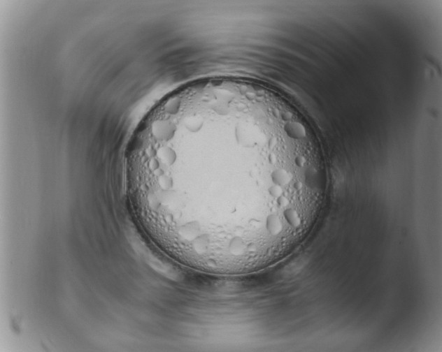 X0000103501371200809262004