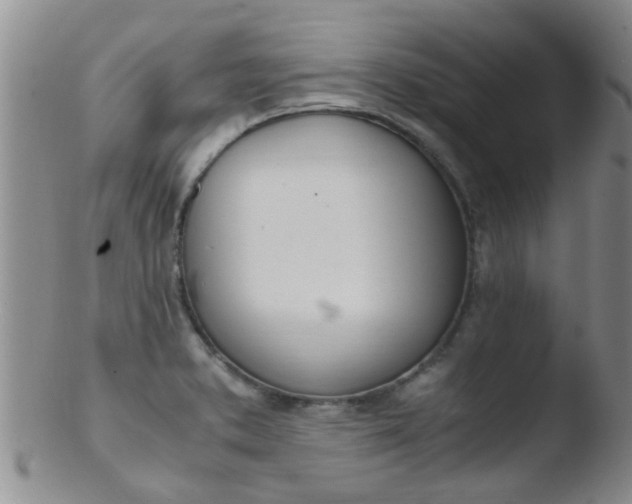 X0000103501373200809262004