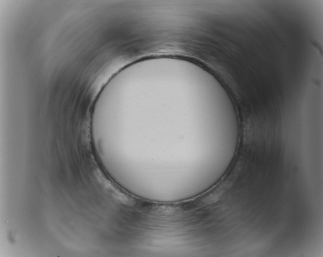 X0000103501374200809262004