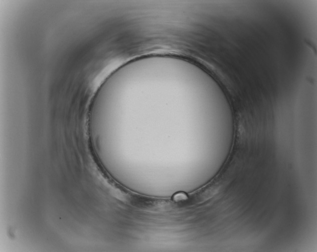 X0000103501375200809262004