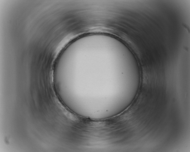 X0000103501376200809262004