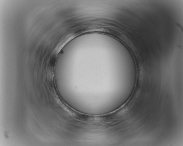 X0000103501377200809262004