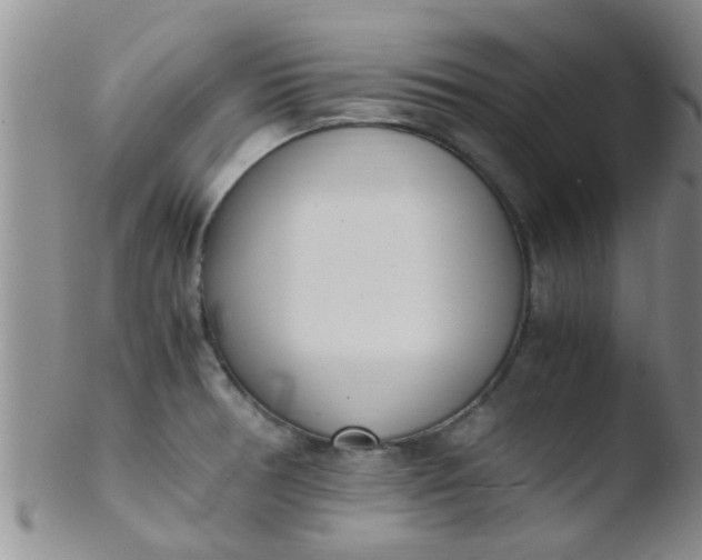 X0000103501378200809262004