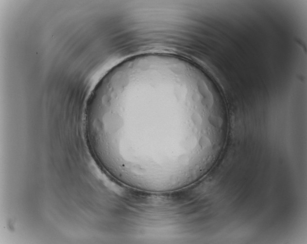 X0000103501379200809262004