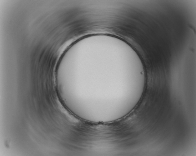 X0000103501380200809262004