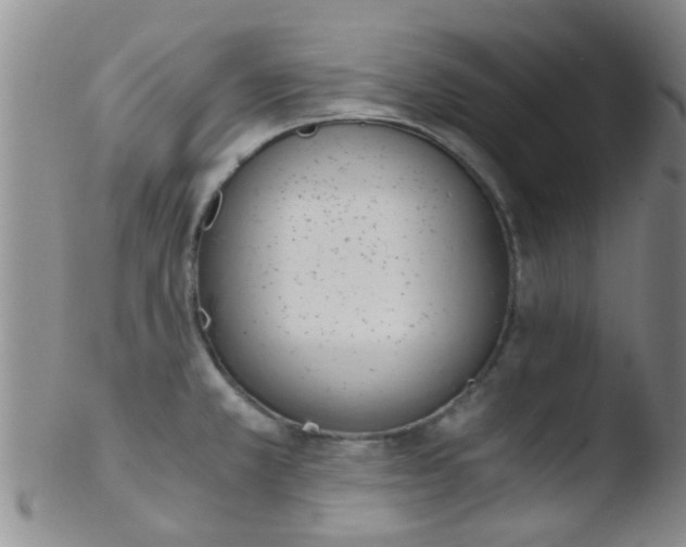 X0000103501381200809262004