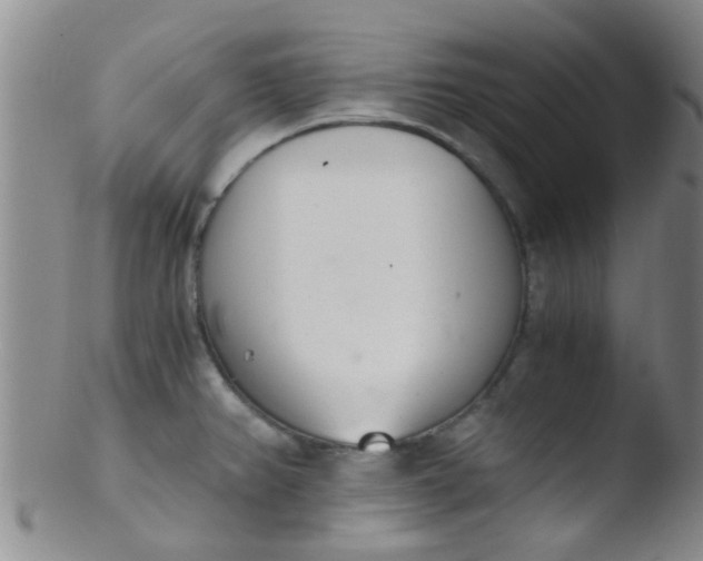 X0000103501382200809262004