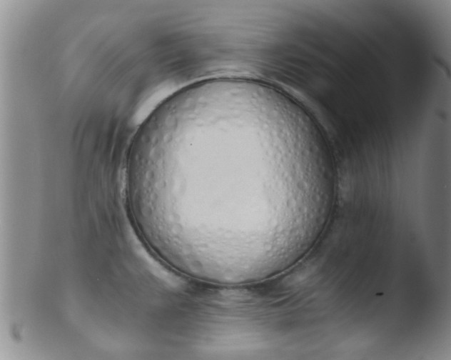 X0000103501383200809262004