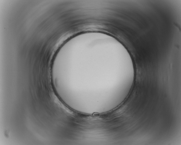 X0000103501384200809262004