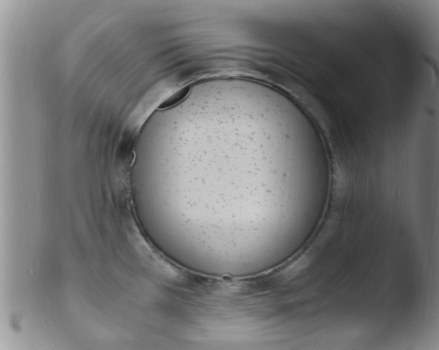 X0000103501385200809262004