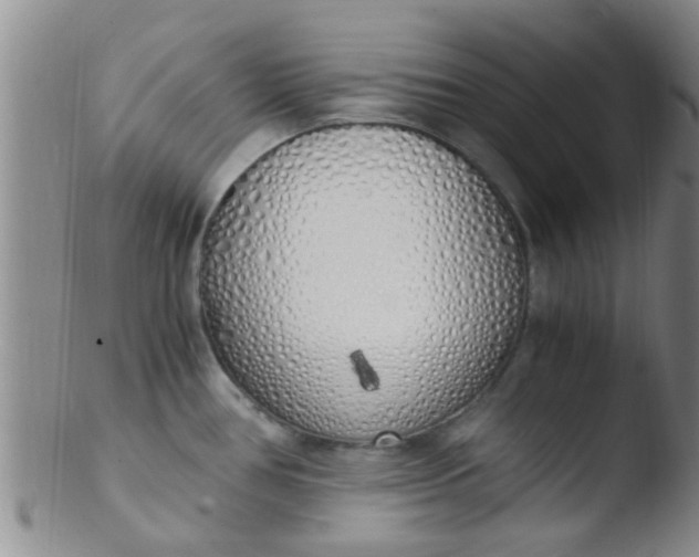 X0000103501386200809262004