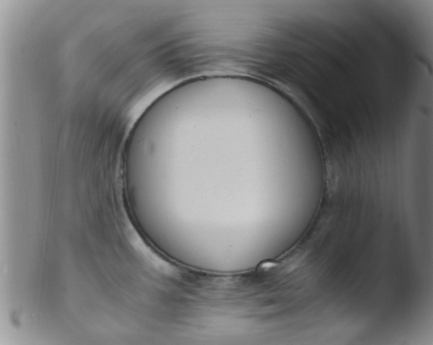 X0000103501387200809262004