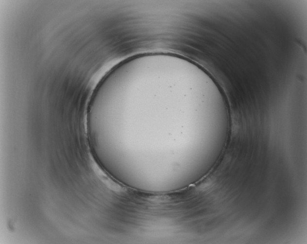 X0000103501388200809262004