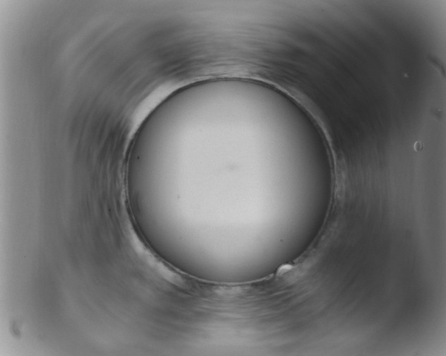 X0000103501389200809262004