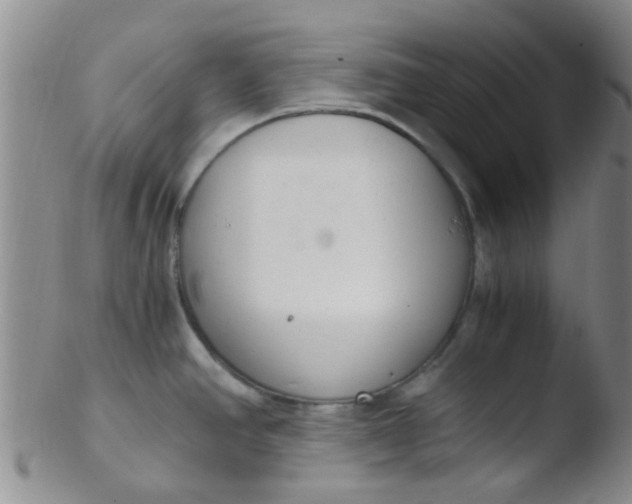 X0000103501390200809262004