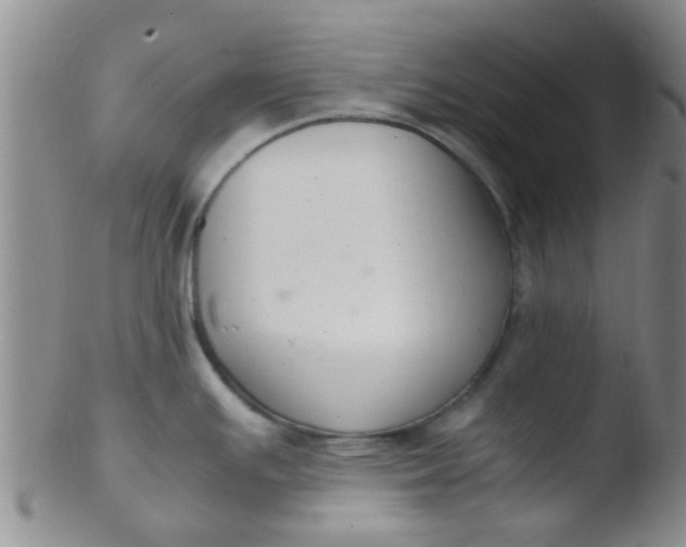 X0000103501391200809262004