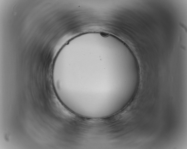 X0000103501392200809262004