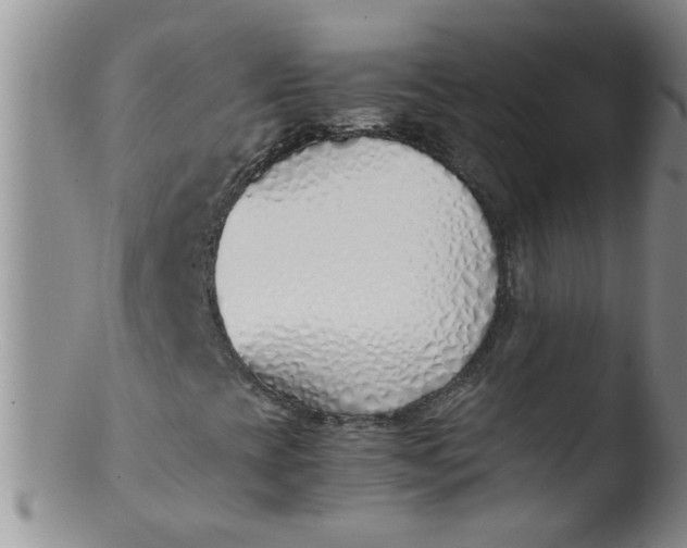 X0000103501393200809262003