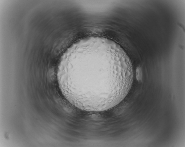 X0000103501395200809262003