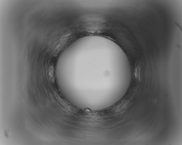 X0000103501396200809262003