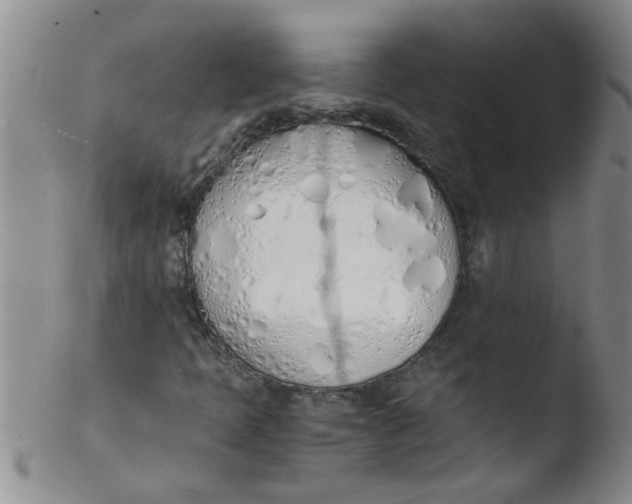 X0000103501397200809262003