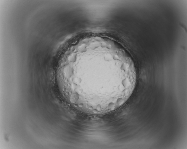 X0000103501398200809262003