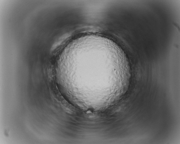 X0000103501399200809262003