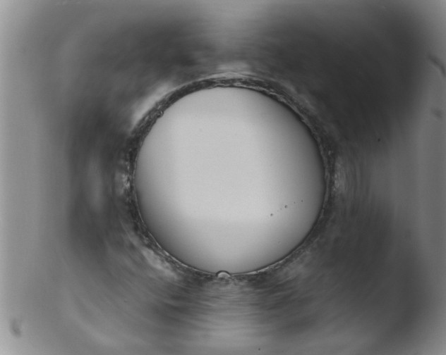 X0000103501400200809262003