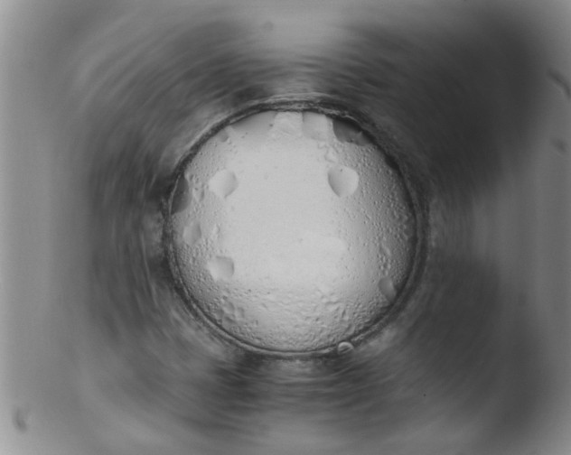 X0000103501401200809262003