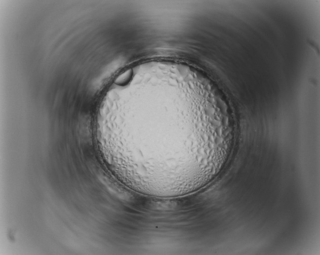 X0000103501403200809262003