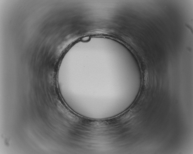 X0000103501404200809262003