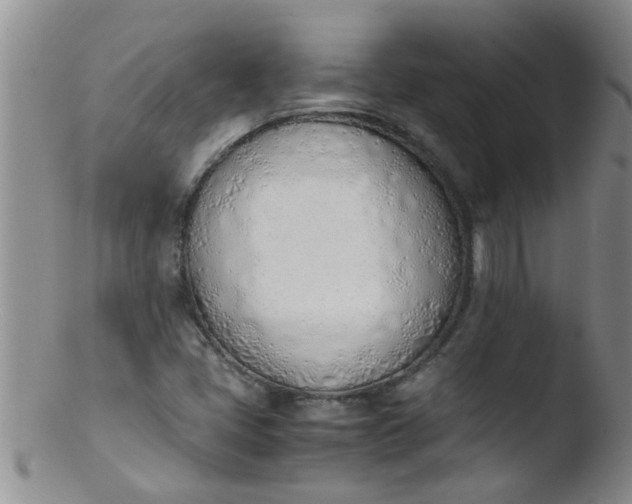 X0000103501405200809262003