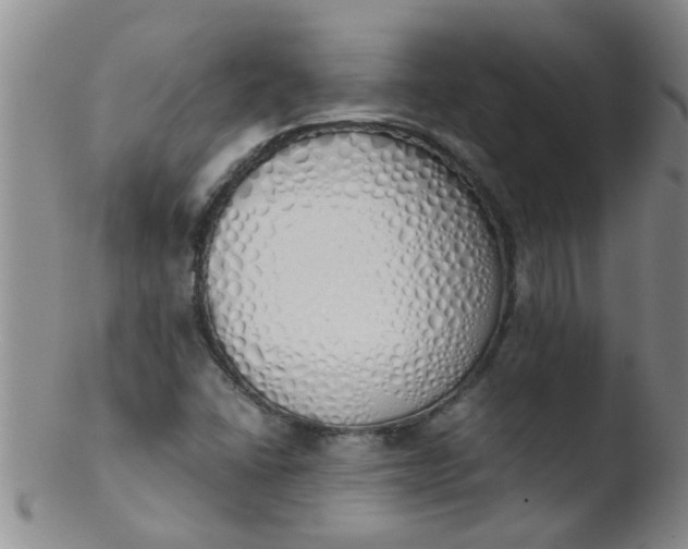 X0000103501406200809262003