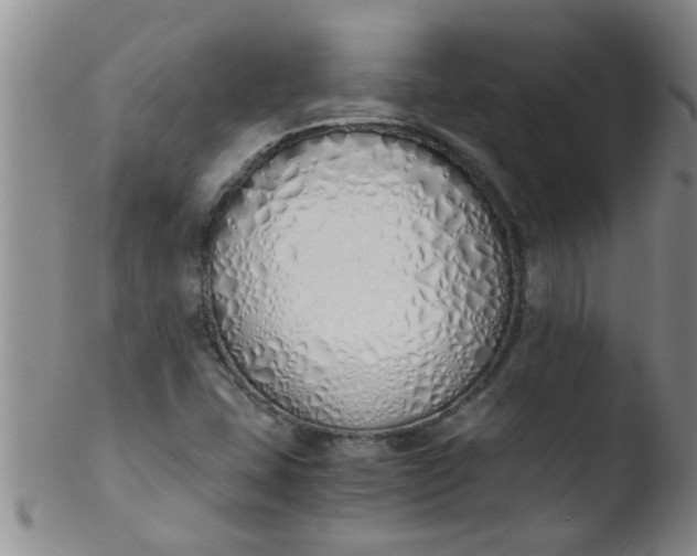 X0000103501407200809262003