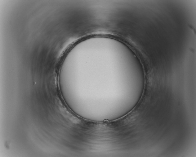 X0000103501408200809262003