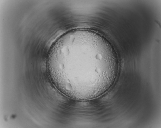 X0000103501409200809262003