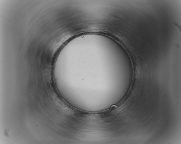 X0000103501410200809262003