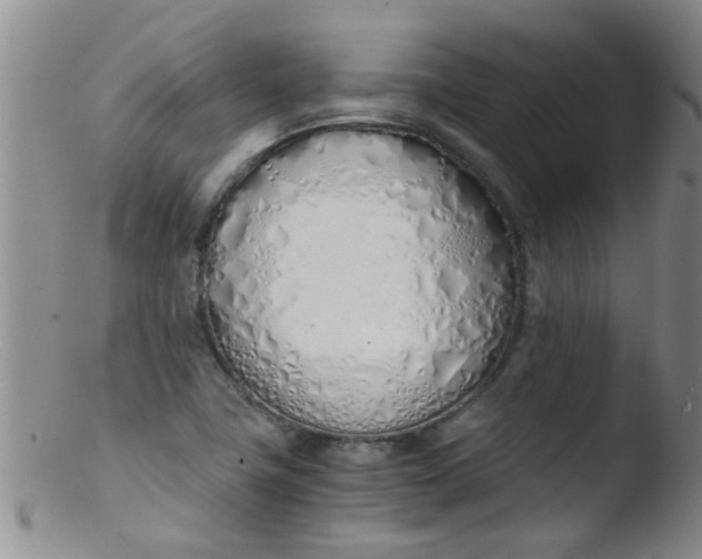 X0000103501411200809262003