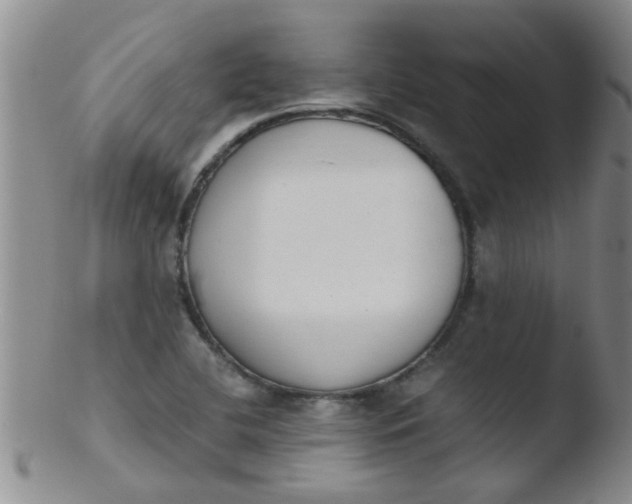 X0000103501412200809262003