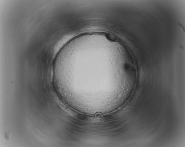 X0000103501413200809262003