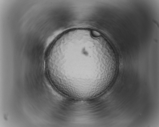 X0000103501414200809262003