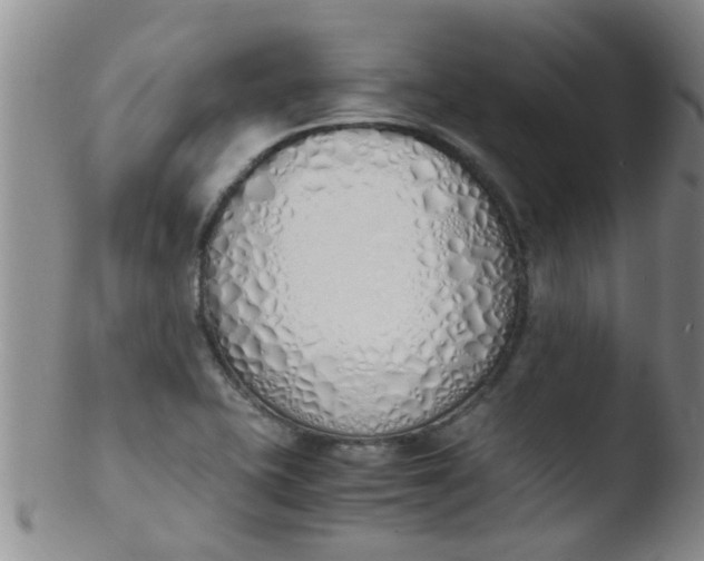 X0000103501415200809262003