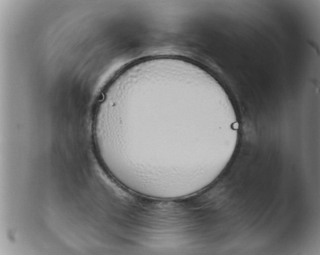 X0000103501416200809262003